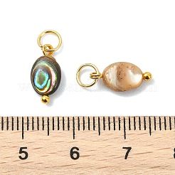 Natural Paua Shell Pendants&nbsp;PALLOY-JF05290-01