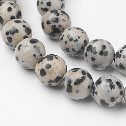 Natural Dalmatian Jasper Bead Strands&nbsp;G-G735-68-8mm