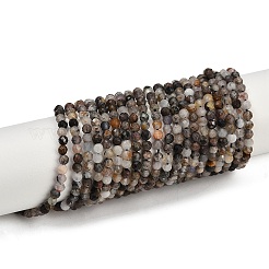 Natural Black Rutilated Quartz Beads Strands&nbsp;LS-G-RM250104-C3