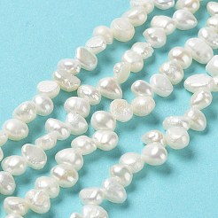 Natural Keshi Pearl Beads Strands&nbsp;PEAR-J007-48