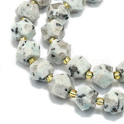 Natural Sesame Jasper Beads Strands&nbsp;G-I376-A52-01
