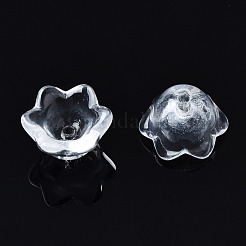 Transparent Glass Beads&nbsp;GLAA-Q089-002C-001