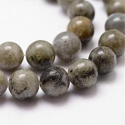 Natural Labradorite Bead Strands&nbsp;G-D840-64-8mm