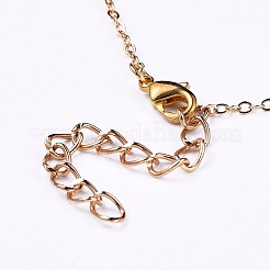 Pendant Necklaces&nbsp;NJEW-JN02729-01