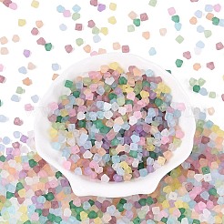 FGB Frosted Transparent Glass Seed Beads&nbsp;SEED-N013-03A