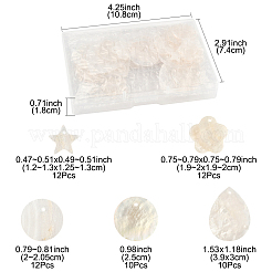56Pcs 5 Styles Natural Capiz Shell Pendants&nbsp;SHEL-FS0001-08