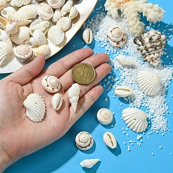 48Pcs 4 Styles Natural Shell Beads&nbsp;BSHE-YW0001-06