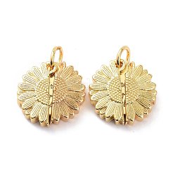 Brass Micro Pave Clear Cubic Zirconia Openable Pendants&nbsp;KK-D004-14G