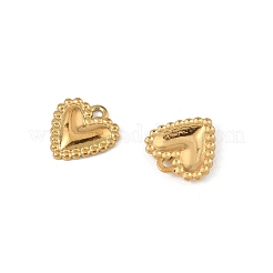 304 Stainless Steel Charms&nbsp;X-STAS-P396-06G