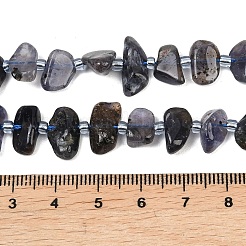 Natural Iolite Beads Strands&nbsp;G-L657-E04-01
