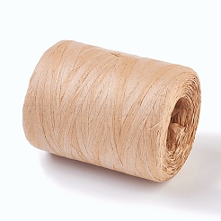Natural Raffia Ribbon&nbsp;X-OCOR-WH0031-E01
