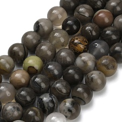 Natural Volcanic Agate Beads Strands&nbsp;X-G-G305-A01-8mm