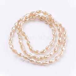 Electroplate Glass Beads Strands&nbsp;EGLA-J013-4X6mm-F18