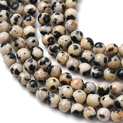 Natural Dalmatian Jasper Beads Strands&nbsp;LS-G-Z116-A10-3mm