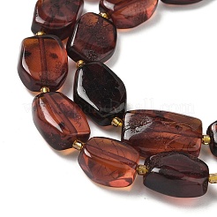 Natural Amber Beads Strands&nbsp;G-L095-C01-03