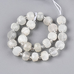 Natural White Moonstone Beads Strands&nbsp;G-N327-08A-09