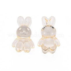 Transparent Acrylic Beads&nbsp;LS-MACR-S373-81-B04