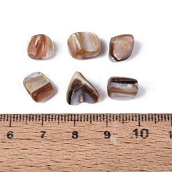 Natural Freshwater Shell Beads&nbsp;SHEL-ZX009-12