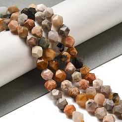 Natural Fossil Coral Beads Strands&nbsp;G-K382-A07-02