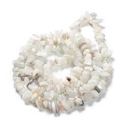 Natural Rainbow Moonstone Beads Strands&nbsp;X-G-A200-02