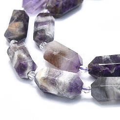 Natural Amethyst Beads Strands&nbsp;G-F715-054