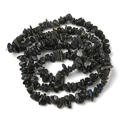 Natural Labradorite Chip Bead Strands&nbsp;G-M205-57A