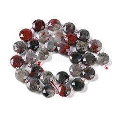 Natural African Bloodstone Beads Strands&nbsp;G-N342-12