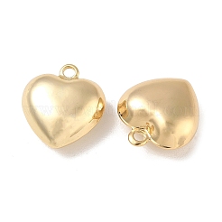 Brass Pendants&nbsp;KK-CBAD851-03G-03