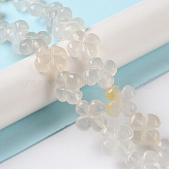Natural White Agate Beads Strands&nbsp;G-M418-D03-01