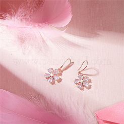 Brass Dangle Earrings&nbsp;JE803A