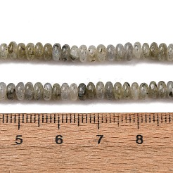 Natural Labradorite Beads Strands&nbsp;G-S366-091B