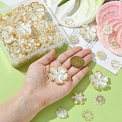 160Pcs 8 Styles ABS Imitation Shell Flowers Beads Caps&nbsp;FIND-CJ0002-26