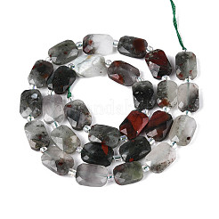 Natural Africa Bloodstone Beads Strands&nbsp;G-T139-87