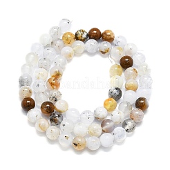 Natural White African Opal Beads Strands&nbsp;G-K245-A18-02