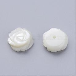 Natural Sea Shell Beads&nbsp;SSHEL-Q297-76