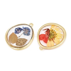 Alloy Resin Pendants&nbsp;RE-CBA591C-03G