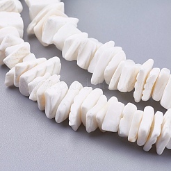 Natural Sea Shell Beads Strands&nbsp;X-BSHE-K012-08E