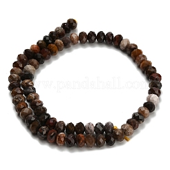 Natural Petrified Wood Beads Strands&nbsp;G-Z111-A50
