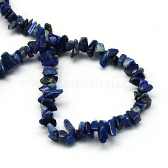 Dyed Natural Lapis Lazuli Stone Bead Strands&nbsp;G-R192-A08