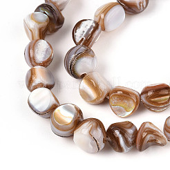 Natural Freshwater Shell Beads Strands&nbsp;SHEL-T020-28