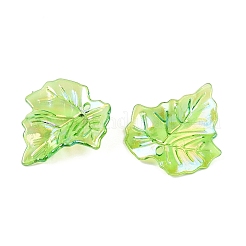 Acrylic Pendants&nbsp;OACR-N137-31A