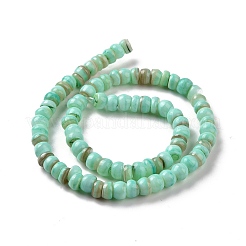 Natural Cultured Freshwater Shell Beads Strands&nbsp;SHEL-F002-01C