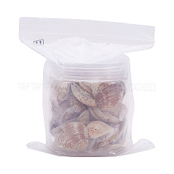 1 Box Scallop Seashells Clam Shell Dyed Beads with Holes for Craft Making 40-50pcs&nbsp;BSHE-YW0001-01