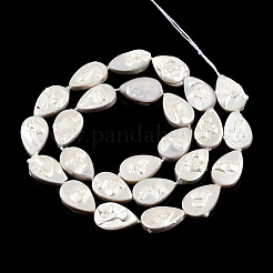 Plating Natural Freshwater Shell Beads Strands&nbsp;SHEL-N026-229