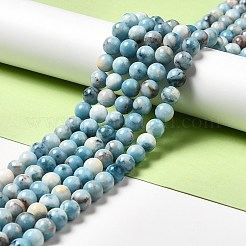 Natural Gemstone Beads Strands&nbsp;G-F730-02B