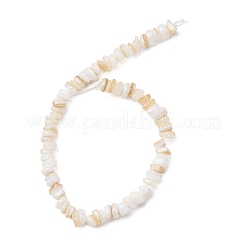 Natural Freshwater Shell Beads Strands&nbsp;SH-CBA2978-01