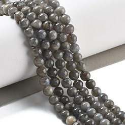 Natural Labradorite Beads Strands&nbsp;G-S333-6mm-035-01