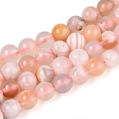 Natural Cherry Blossom Agate Beads Strands&nbsp;G-K310-C07-6mm