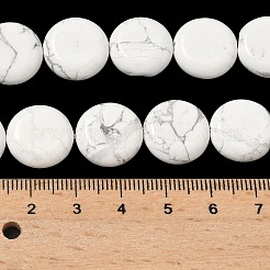 Natural Howlite Beads Strands&nbsp;G-L648-B17-15mm