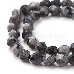 Natural Sesame Jasper/Kiwi Jasper Beads Strands&nbsp;G-F545-C10